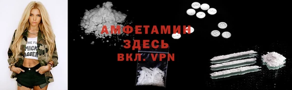 индика Балахна