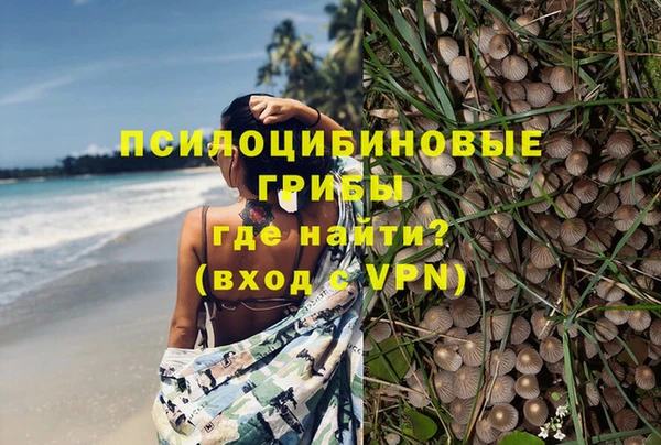 apvp Арсеньев