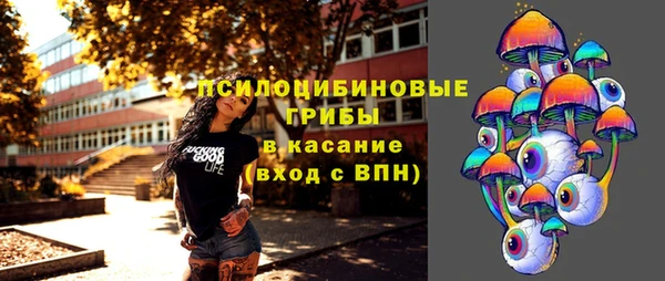 дмт Аркадак